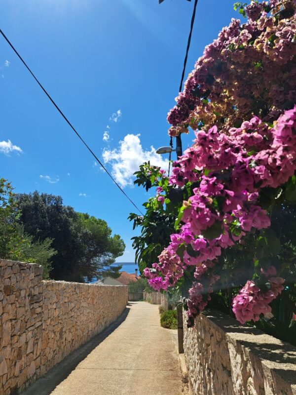 Stone village lane with pink bougainvillea and sea views on the island.